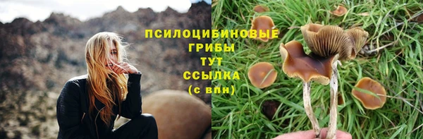 a pvp Осташков