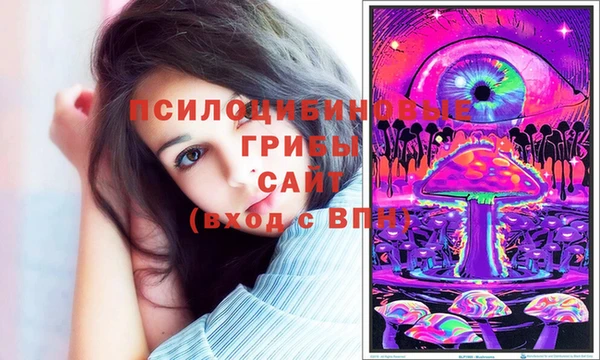 apvp Остров